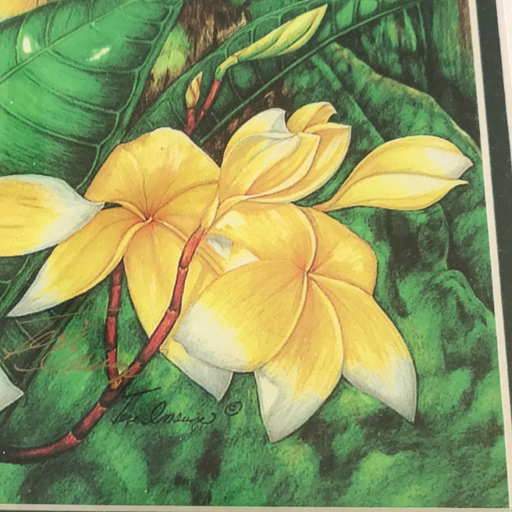 LIMITED EDITION SIGNED AND FRAMED HAWAIIAN PRINT - Picture 2 of 5